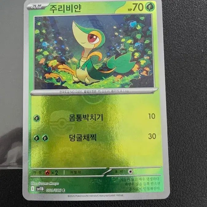 [BUNJANG] Pokemon Card Chiryu&