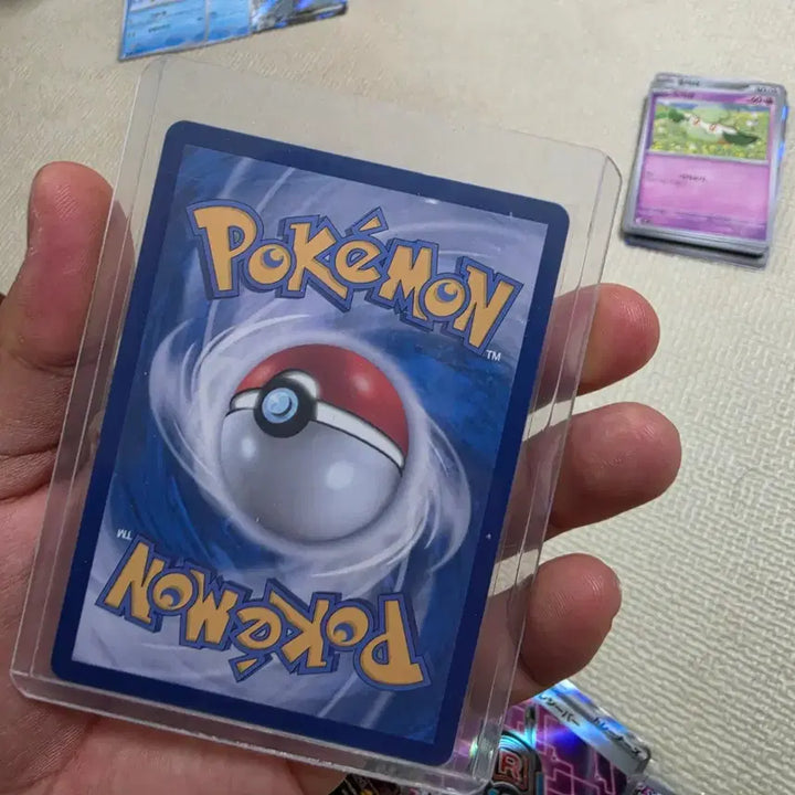 [BUNJANG] Pokemon Card Mega Charizard X EX (SR Grade) / 메가리자몽SR
