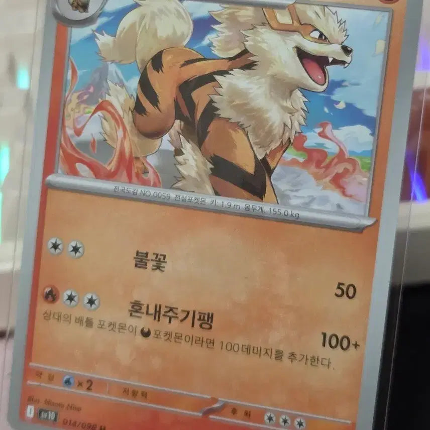 [BUNJANG] Pokemon Card - Arcanine / 포켓몬카드 윈디