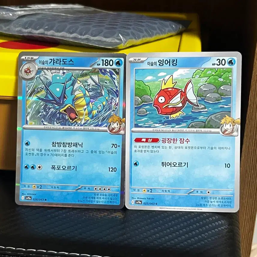 [BUNJANG] Gyarados &amp; Magikarp Pokemon Card Set / 이슬의 잉어킹 / 이슬의 갸라도스 포켓몬 카드