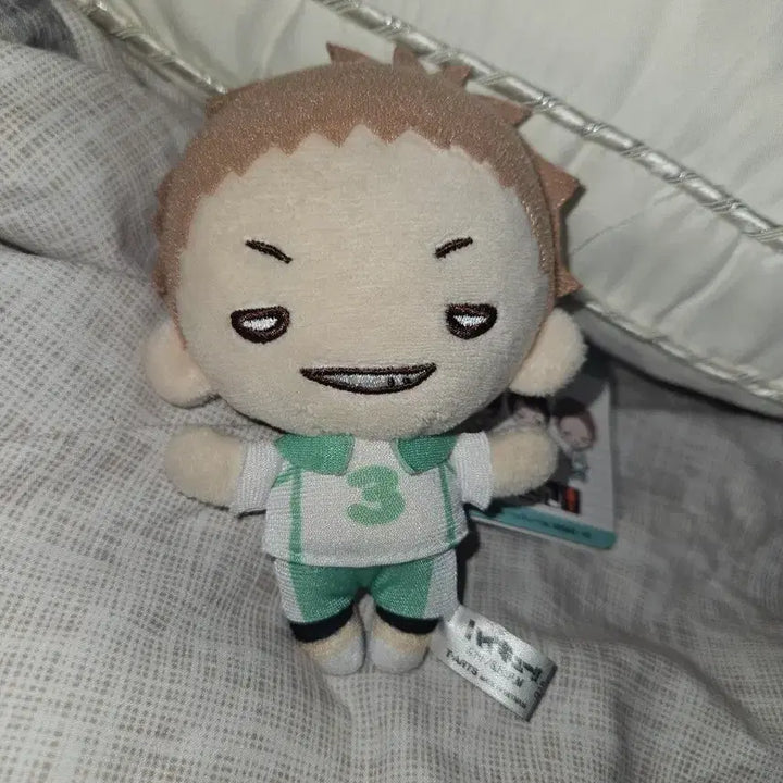 [BUNJANG] Hanamaki Takahiro Nittotan Plush / 하나마키 타카히로 니토탄 누이