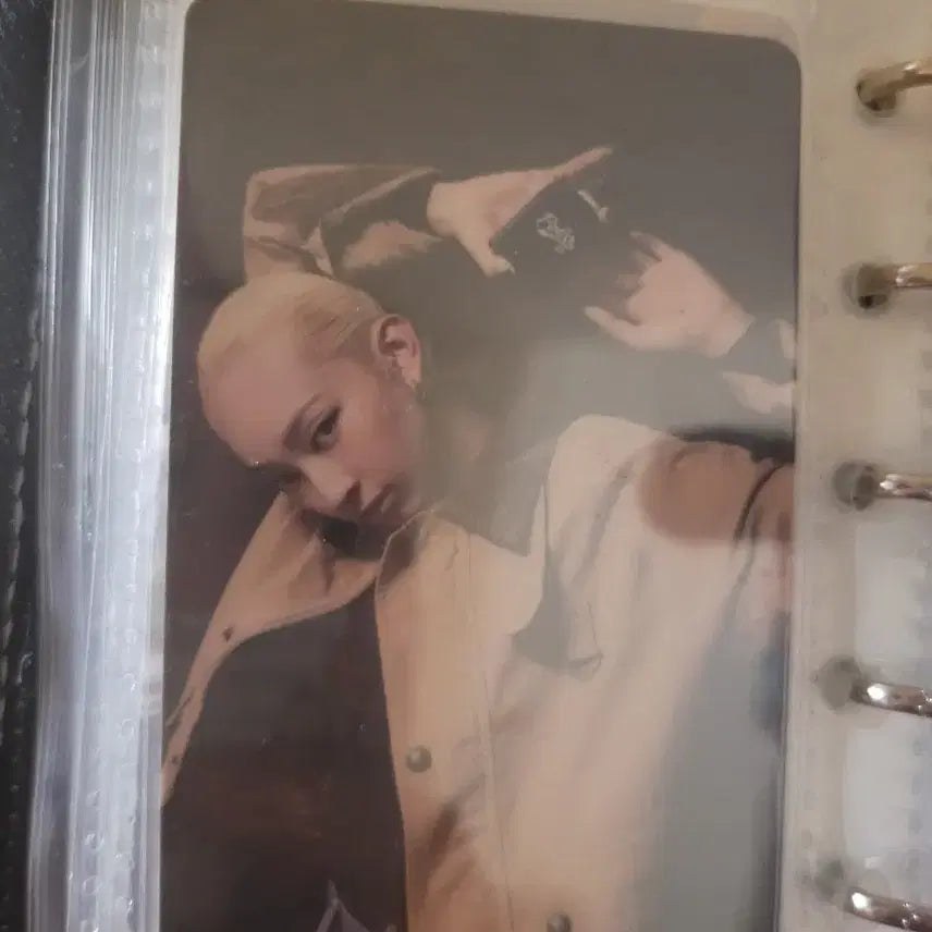 [BUNJANG] Ojojang Kyoka Bundle Set Photocard (Unofficial Merchandise) / 일괄판매)오죠갱 쿄카 포트카드(비공굿)