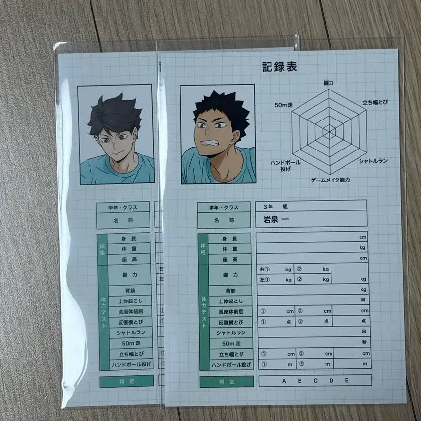 [BUNJANG] Haikyuu!! Training Pair Iwaizumi/Oikawa Special Bonus Bundle Set / (일괄) 하이큐 체력측정페어 이와이즈미/오이카와 특전