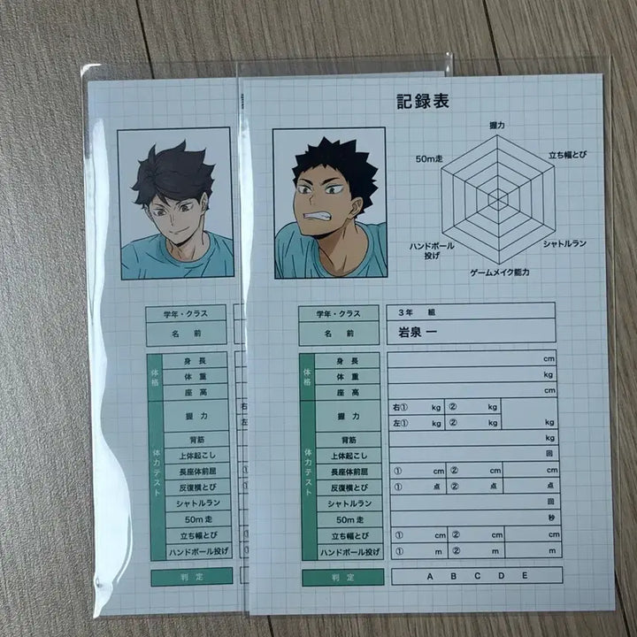 [BUNJANG] Haikyuu!! Training Pair Iwaizumi/Oikawa Special Bonus Bundle Set / (일괄) 하이큐 체력측정페어 이와이즈미/오이카와 특전
