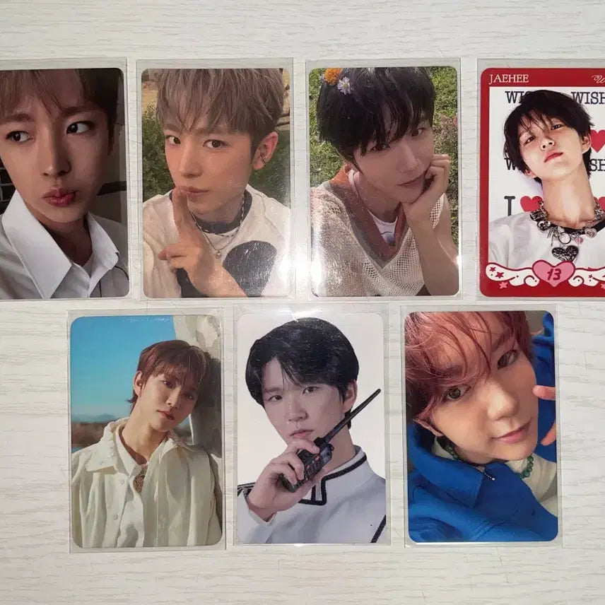 [BUNJANG] NCT WISH Photocard / 엔시티 위시 포카 팝니다!!