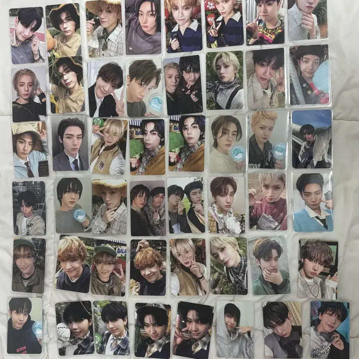 [BUNJANG] BOYNEXTDOOR Bundle Set Photocard / 보이넥스트도어 보넥도 포카 처분 탈덕처분 일괄