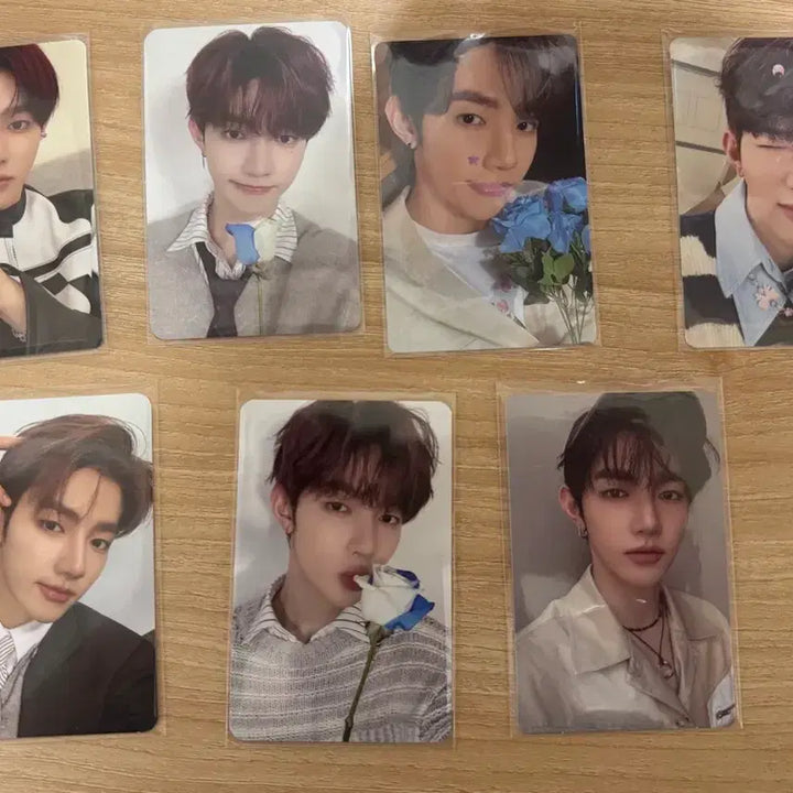 [BUNJANG] ZB1 x N.SSign Photocard Bundle Set / 제베원&amp;앤더블 포카 양도해요 !