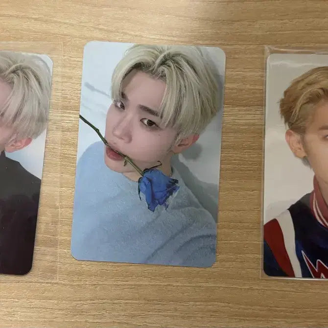 [BUNJANG] ZB1 x N.SSign Photocard Bundle Set / 제베원&amp;앤더블 포카 양도해요 !