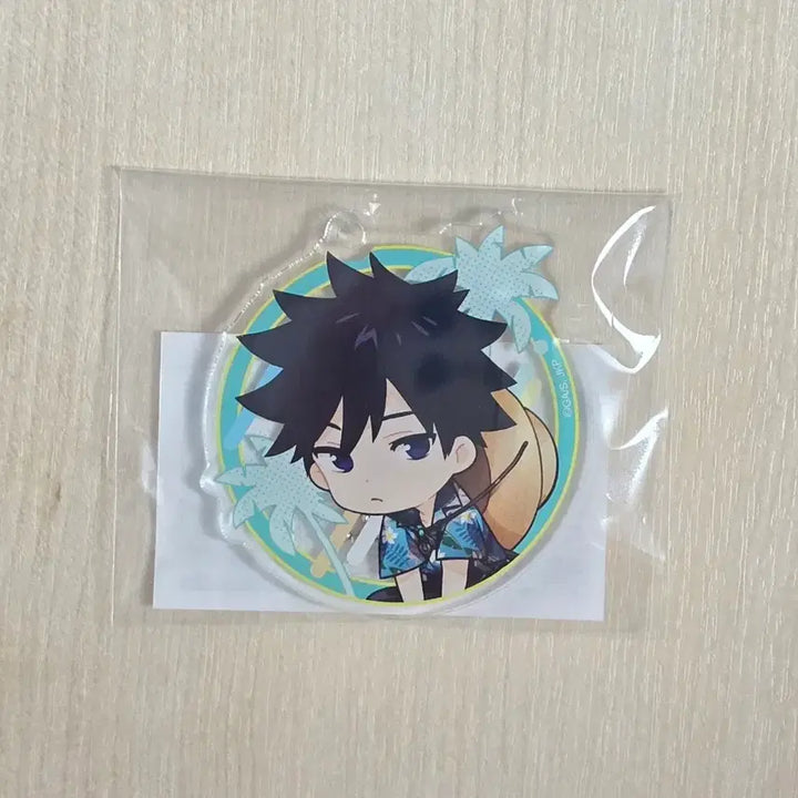 [BUNJANG] Jujutsu Kaisen Marukuji Aloha Vibes Megumi Fushiguro B Keychain (Sealed) / 주술회전 마루쿠지 중길 후시구로 메구미 B 키링 미개봉