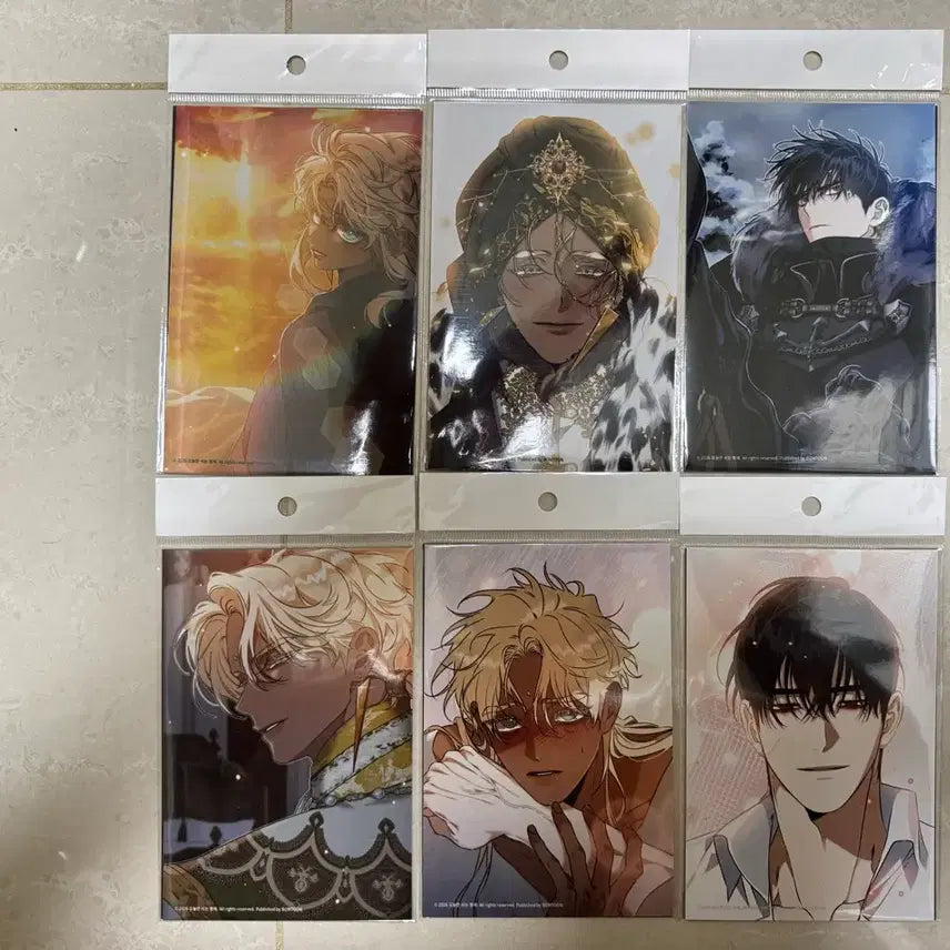 [BUNJANG] Baekya-ui Kkotgil Baekggot Cafe Lebom Shuraka Tei Photocard Set / 백야의 꽃길 백꽃 카페 레봄 슈라카 테이 인화사진 오늘만 사는 형제