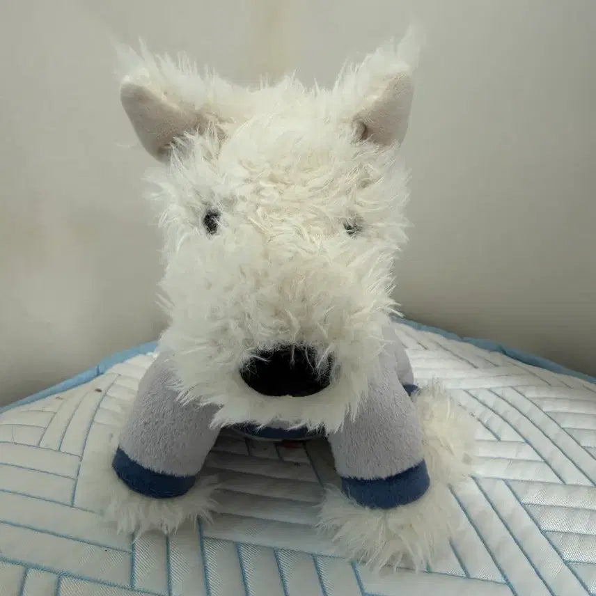 [BUNJANG] Jellycat Monroe Plush Toy / 젤리캣 먼로