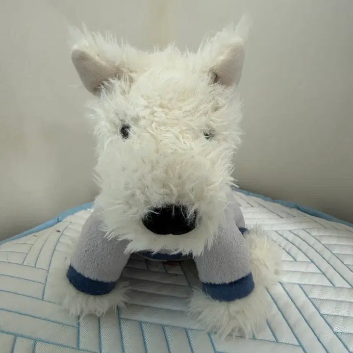 [BUNJANG] Jellycat Monroe Plush Toy / 젤리캣 먼로