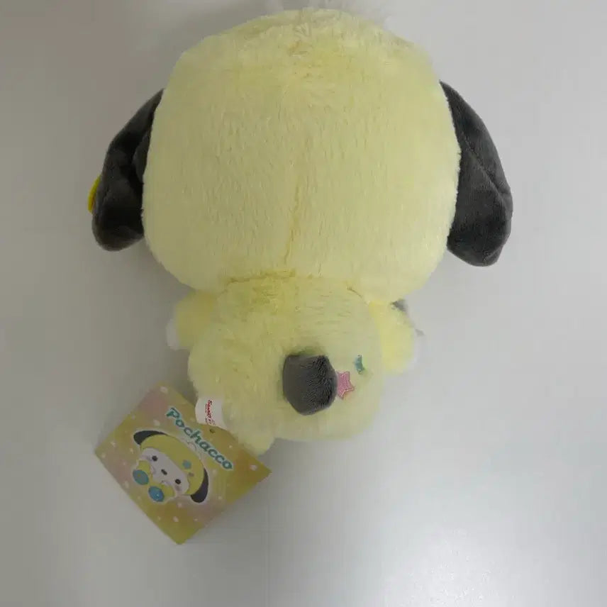 [BUNJANG] Pochacco Healing Mascot Plush / (마지막 가격내림) 포챠코 치유 힐링 마스코트 인형