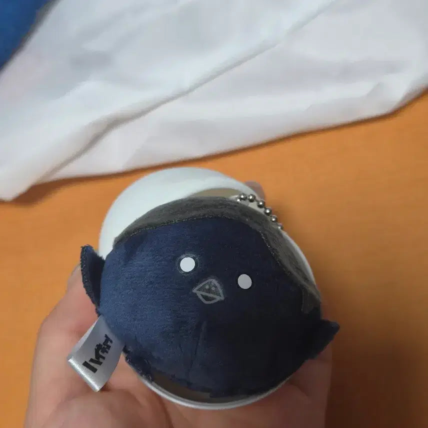 [BUNJANG] Haikyuu!! Karasuno Ennoshita Plush Doll / 하이큐 카라스노 엔노시타 인형누이