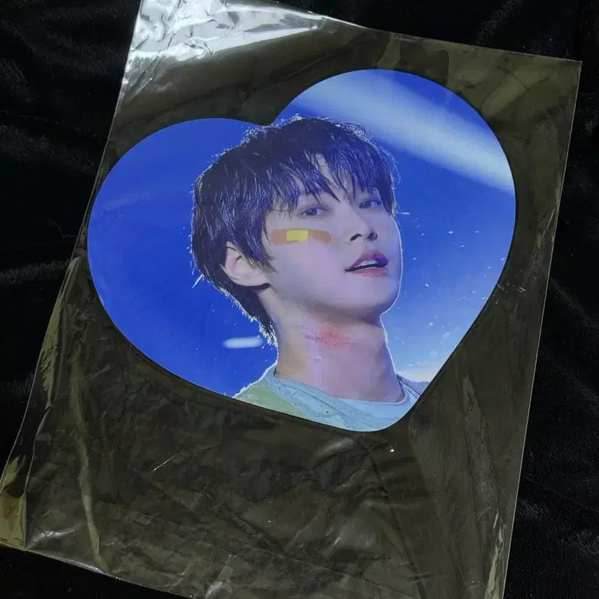 [BUNJANG] Doyoung Uchiwa Fan / 도영 우치와 양도