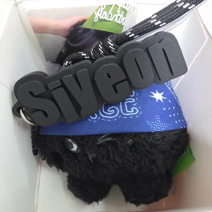 [BUNJANG] QWER 2nd Anniversary Popup Hidden Dolkeyring Siyeon / QWER 2주년 팝업 히든 돌키링 시연 양도