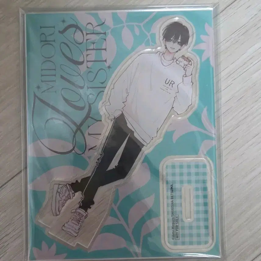 [BUNJANG] Midori-kun Acrylic Stand / 언니의 미도리군 미도리 전프레 아크릴스탠드