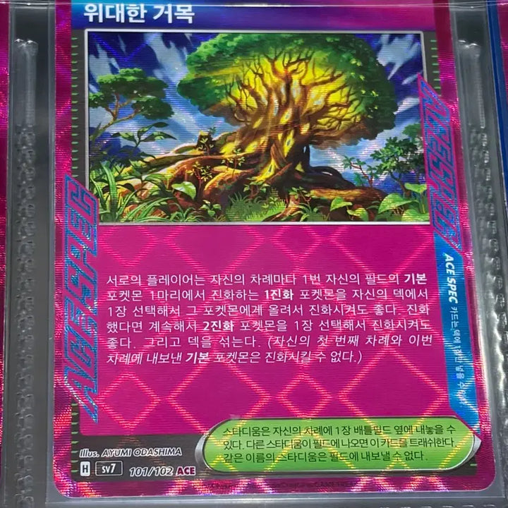 [BUNJANG] Pokemon Card Ace Item Tool Energy Bundle Set / 포켓몬카드 / 스타디움 아이템 도구 에너지 ace 일괄