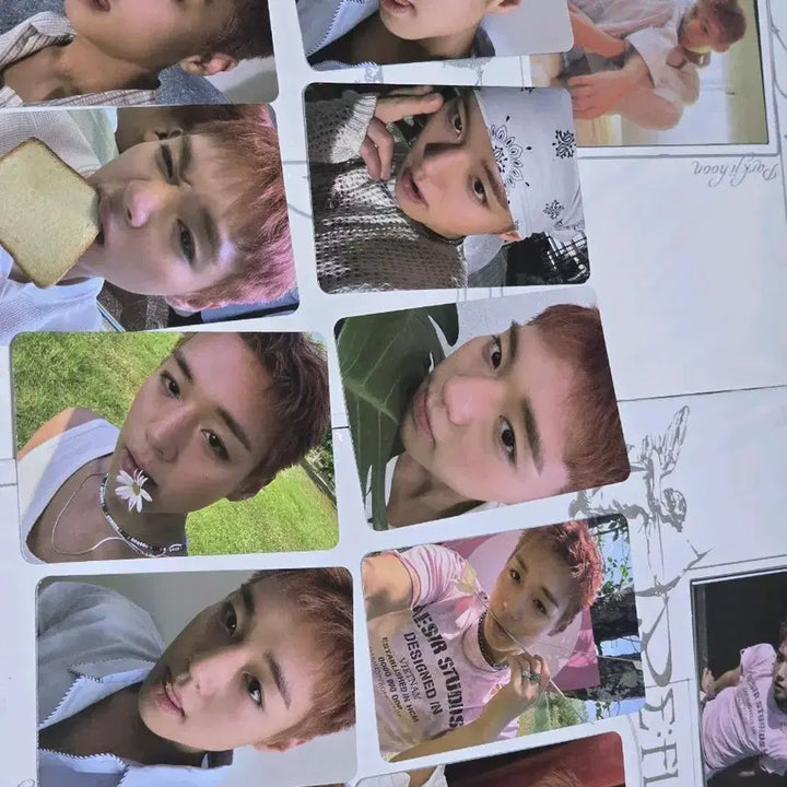 [BUNJANG] Park Ji Hoon Reflect Photocard Bundle Set + Sealed Album / 박지훈 리플렉트 앨범 포토카드 드볼 10종 일괄