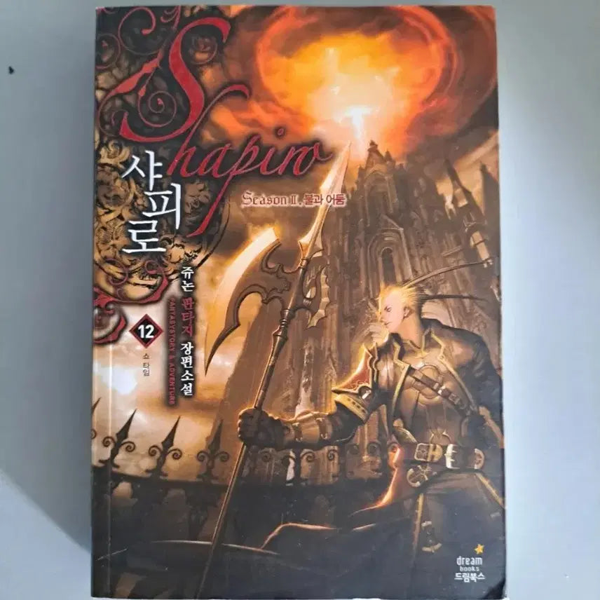 [BUNJANG] Shaphiro Fantasy Novel Collection Volumes 2-12 Bundle / 판타지 소설책 샤피로 2-12권 일괄 (1권없음)