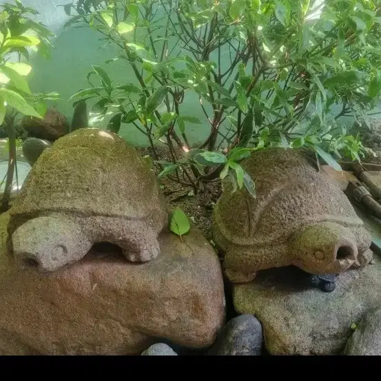 [BUNJANG] Antique Stone Turtle Pair (30cm) / 37   30 센치골동품수석거북이한쌍