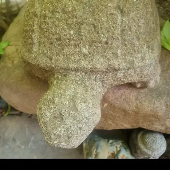 [BUNJANG] Antique Stone Turtle Pair (30cm) / 37   30 센치골동품수석거북이한쌍