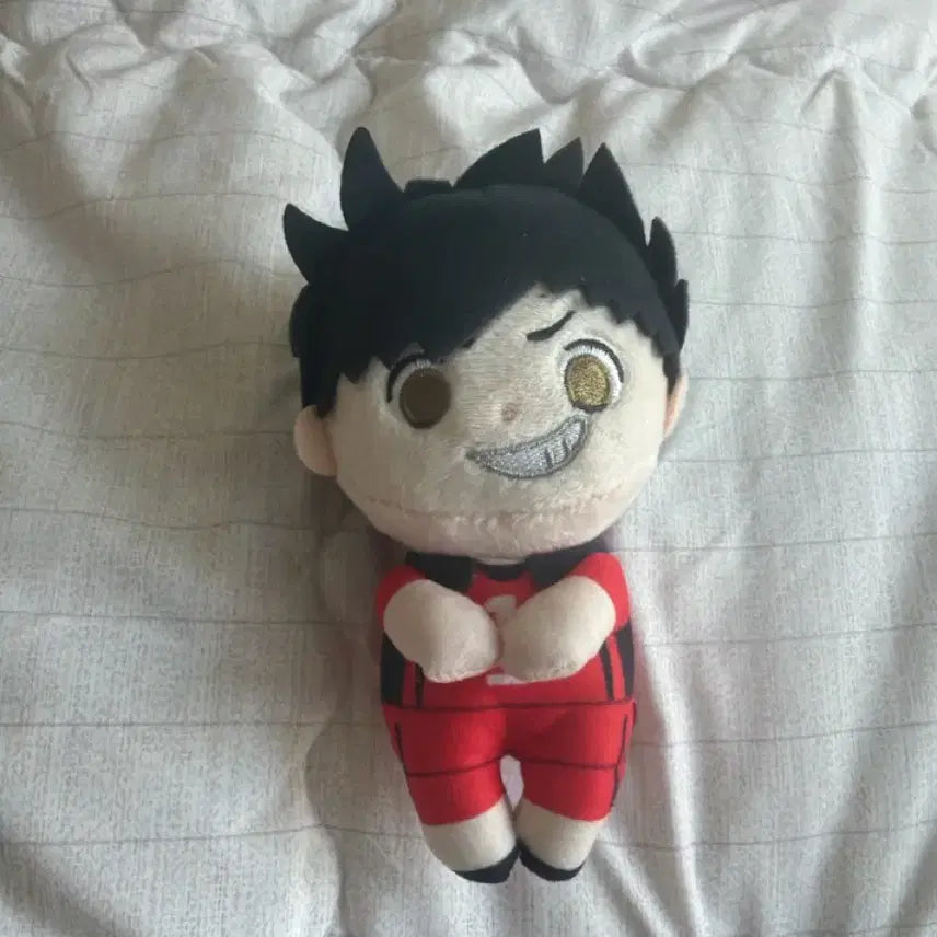 [BUNJANG] Haikyuu!! Tetsuro Kuroo Straw Plush / 최종가격/상태좋음)하이큐 쿠로오 테츠로 스트로우 누이