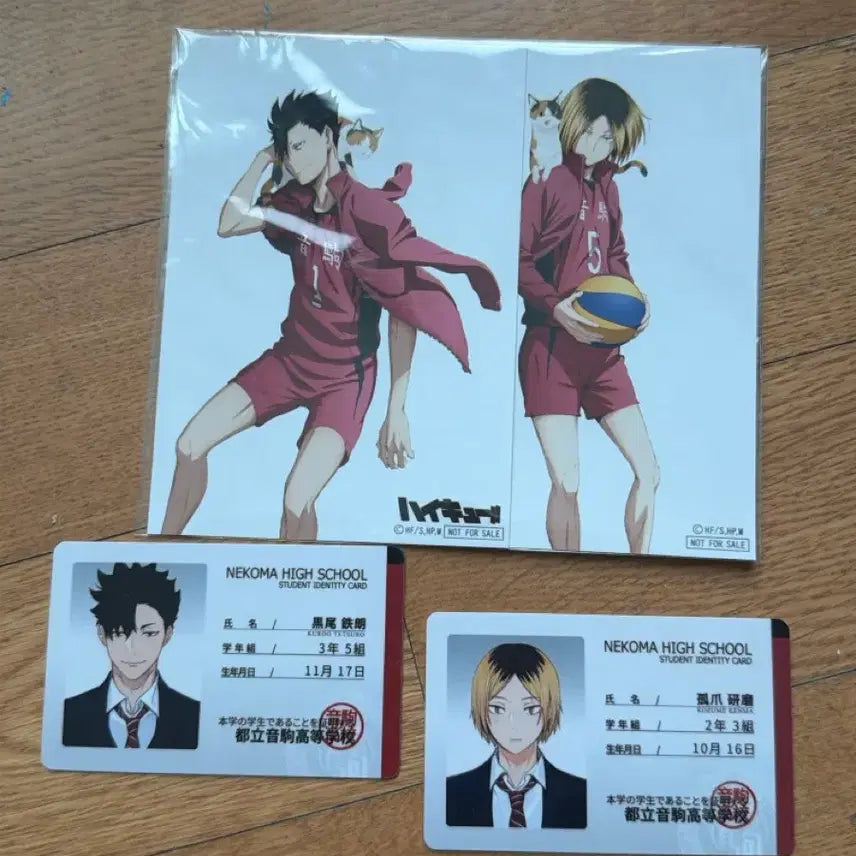 [BUNJANG] Haikyuu!! Nekoma High School Student ID &amp; Postcard Set / 일괄)하이큐 네코마 쿠로오 켄마 리무무님 학생증 비공굿+엽서
