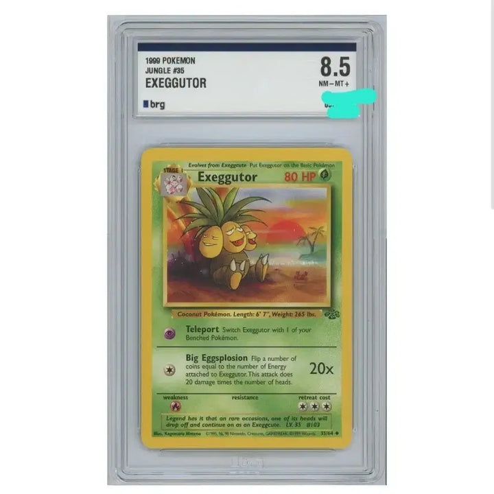 [BUNJANG] Pokemon TCG Jungle Collection Nidorina (BRG 8.5) / 포켓몬카드 베이스 나시 카드 brg8.5