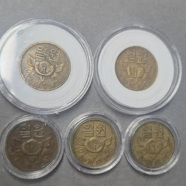 [BUNJANG] Bank of Korea 1966 1 Won Coin (5 pieces) / 한국은행 1966년 1원 동전 5개