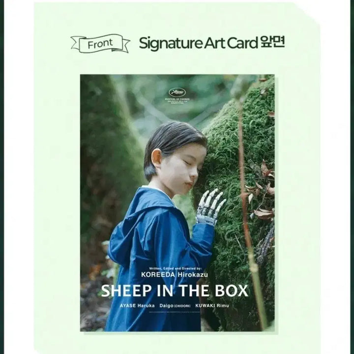[BUNJANG] Box of Yang Art Card / 상자속의 양 아트카드 판매