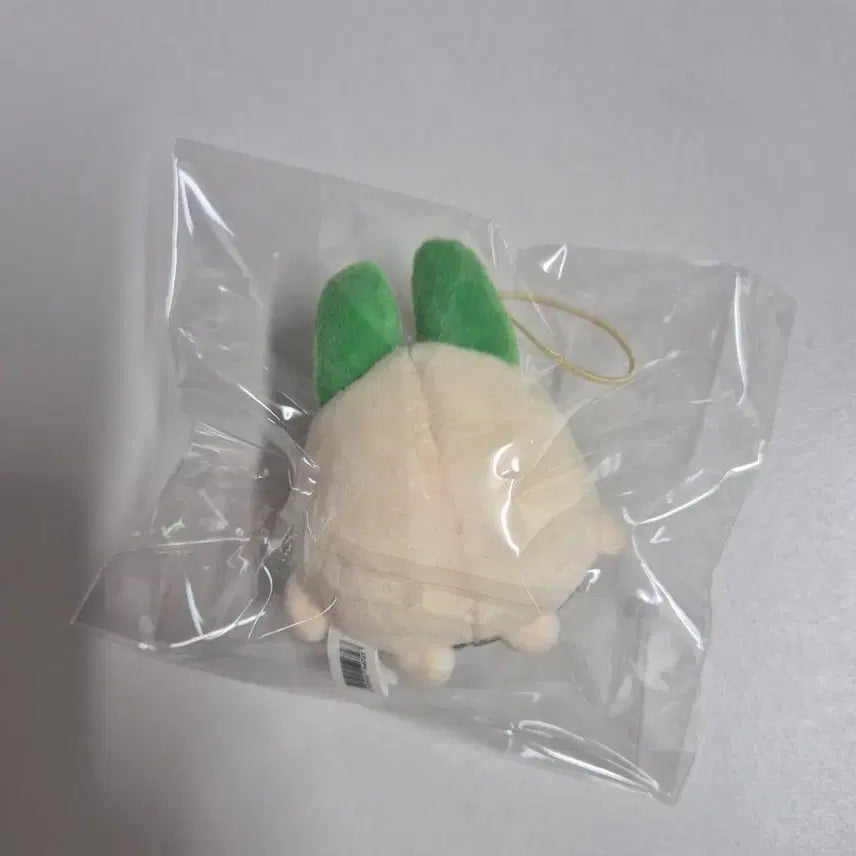 [BUNJANG] Onion Kungya Character &