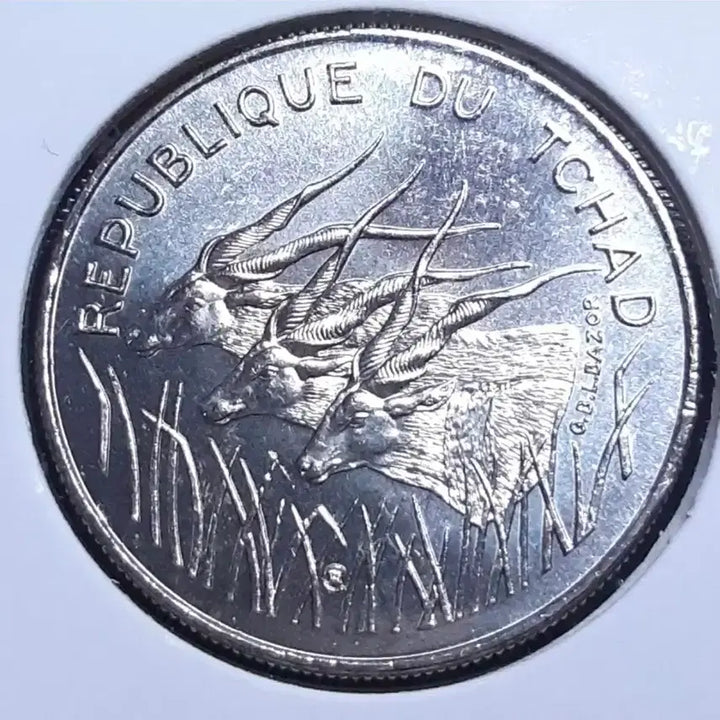 [BUNJANG] Central African States 1982 100 Francs Coin / 중앙아프리카연합 미사용 1982년 100프랑.외국주화 주화 화폐 동전
