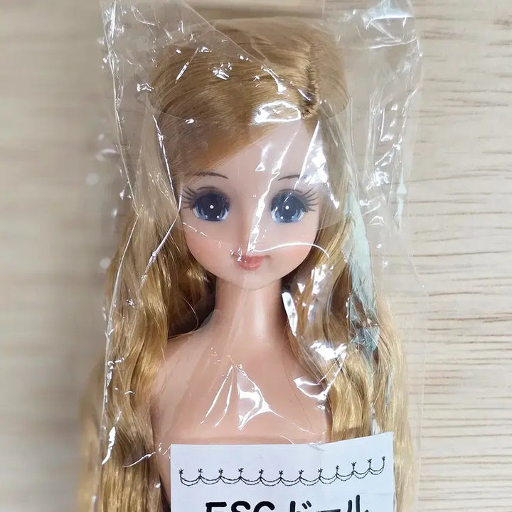 [BUNJANG] Licca Castle Otano Shimido Jenny Friend Marine Doll (Sealed) / liccacastle 리카캐슬 오타노시미돌 제니프렌드 마린 미개봉