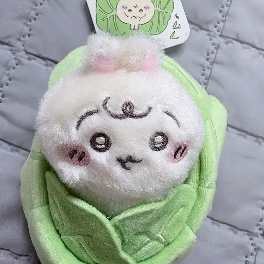 [BUNJANG] Chiikawa Cabbage Usagi Plush / 치이카와 양배추 우사기