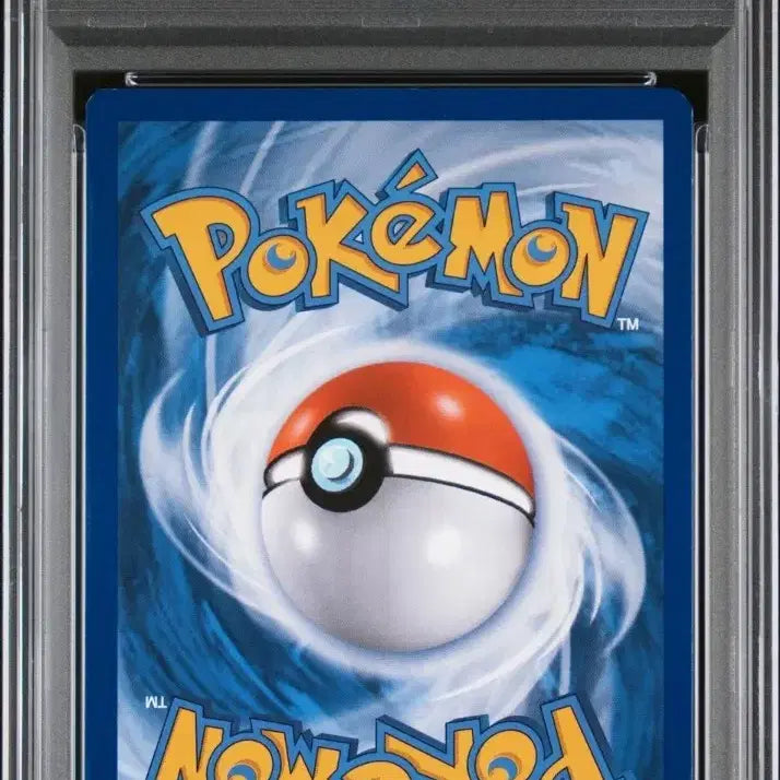 [BUNJANG] PSA 8 Special Delivery Charizard English Promo Card (SWSH075) / [PSA 8] 스페셜 딜리버리 리자몽 영문 프로모 카드 (SWSH075)