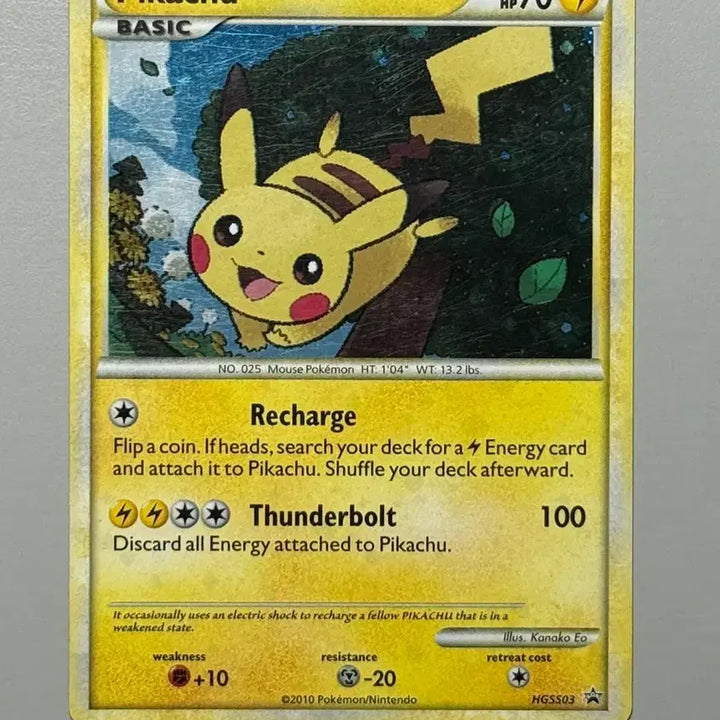 [BUNJANG] Pikachu &amp; Charizard North American Edition / 북미 피카츄 리자몽