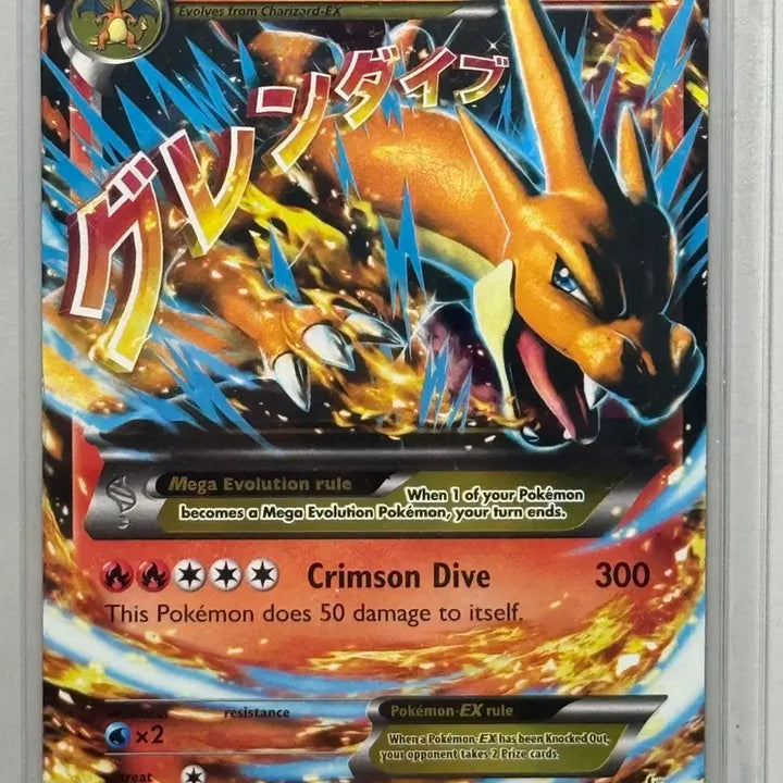 [BUNJANG] Pikachu &amp; Charizard North American Edition / 북미 피카츄 리자몽