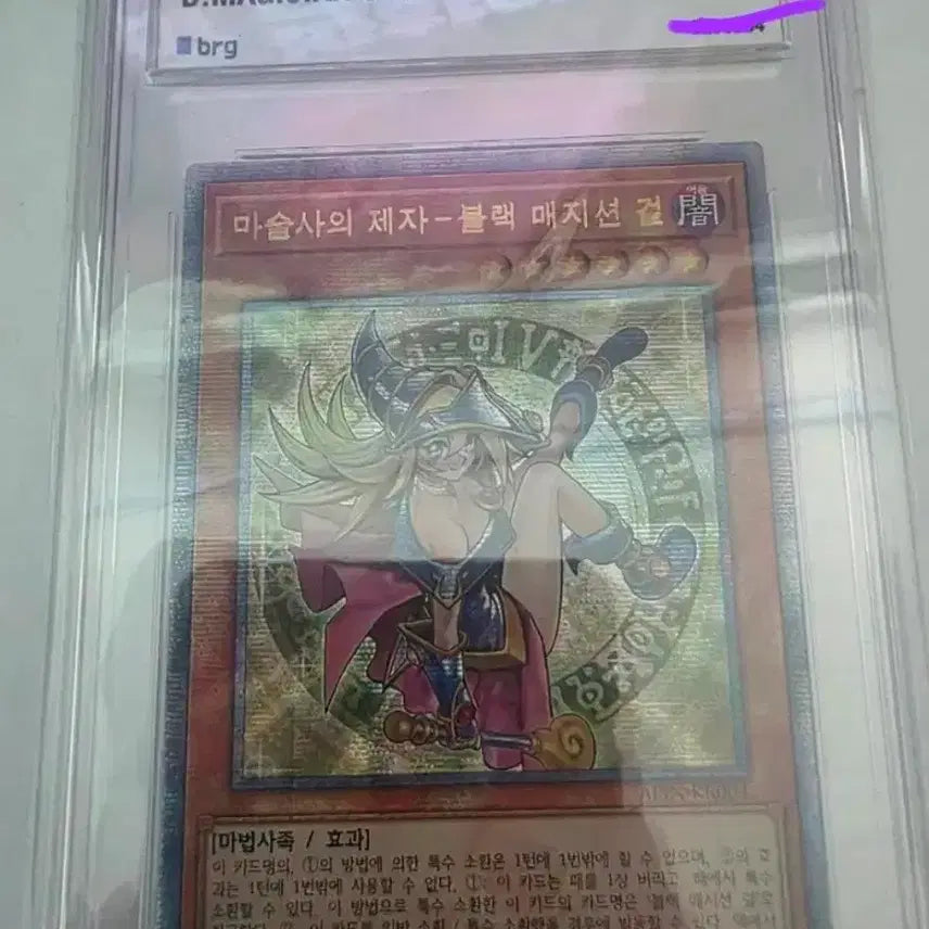 [BUNJANG] Yu-Gi-Oh! Apprentice Illusion Magician - Graded PSA 9 / 유희왕 마술사의 제자 블랙 매지션 걸 - BRG 9