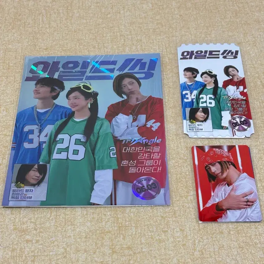 [BUNJANG] Wild Thing Original Ticket Art Card Photocard Set / 와일드 씽 오리지널 티켓 아트카드 포토카드 세트 오티 아카