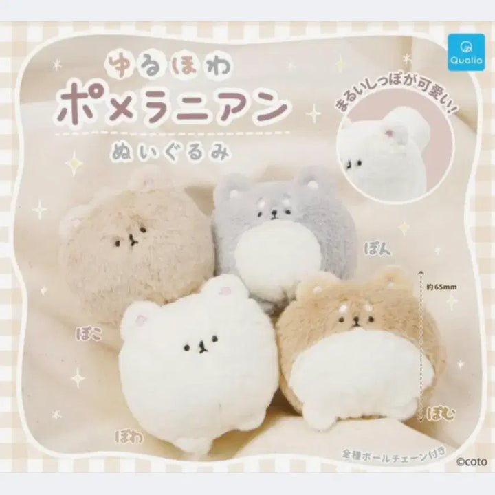 [BUNJANG] White Puppy Gachapon Plush Keychain Pomeranian Capsule Toy / 흰 강아지 가챠 인형 키링 포메라니안 포메 캡슐