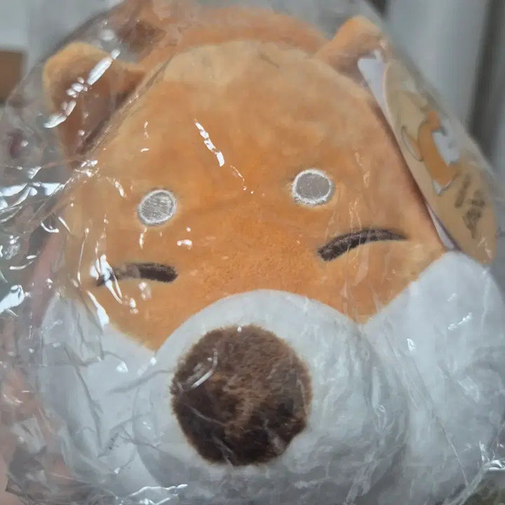 [BUNJANG] Mochi Shiba Inu Plush Toy (Sealed) / 모찌 시바견 인형 미개봉 판매