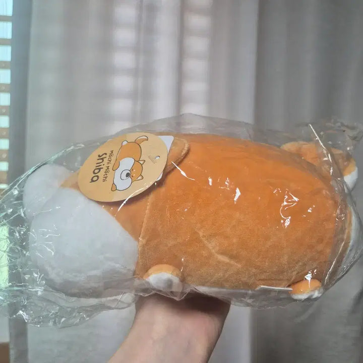 [BUNJANG] Mochi Shiba Inu Plush Toy (Sealed) / 모찌 시바견 인형 미개봉 판매