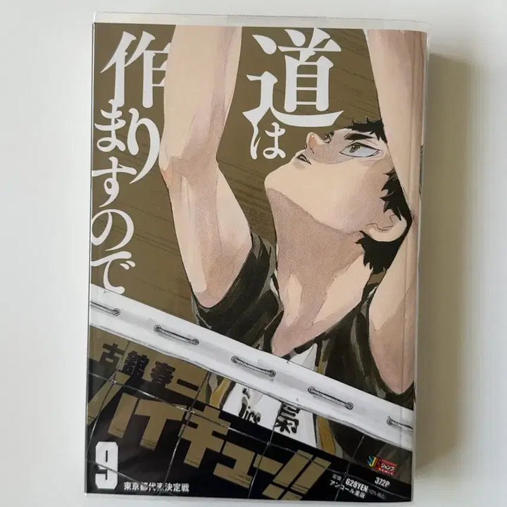 [BUNJANG] Haikyuu!! REMIX Volume 9 Akaashi / 하이큐 리믹스 REMIX 9권 아카아시