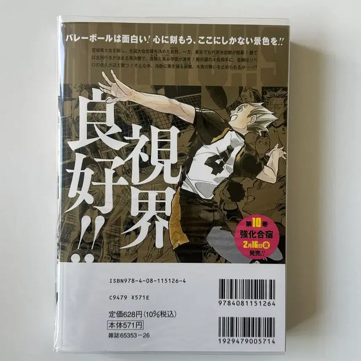 [BUNJANG] Haikyuu!! REMIX Volume 9 Akaashi / 하이큐 리믹스 REMIX 9권 아카아시