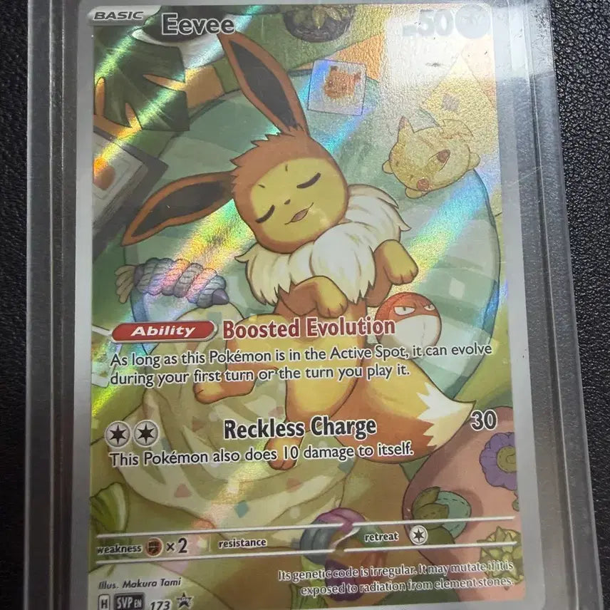 [BUNJANG] EV Promo North American Edition Card / 이브이 프로모 북미판 팔아요