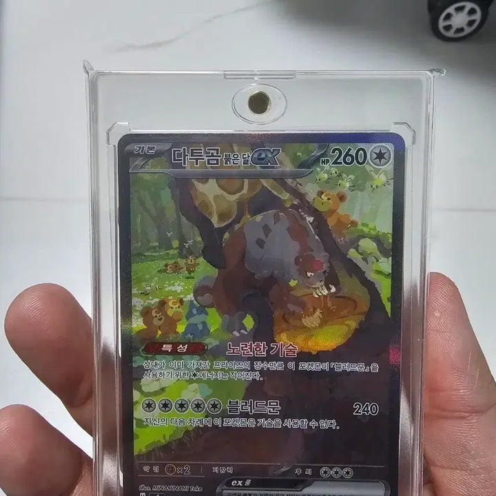 [BUNJANG] Pokemon Card Datu Goma Crimson Haze EX S-Rank / 포켓몬 카드 다투곰 붉은 달 EX 크림슨헤이즈 S급