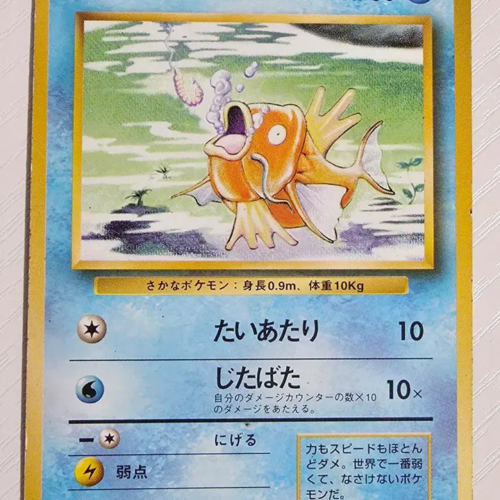 [SOLD OUT] 포켓몬카드 1996 초기 잉어킹