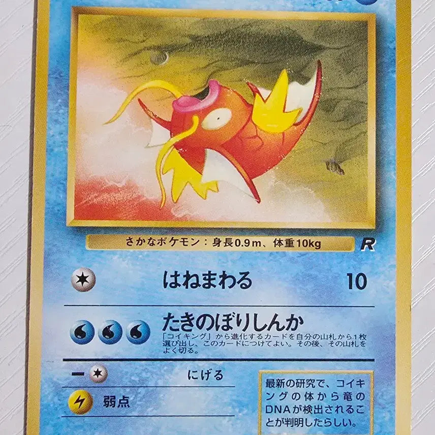 [SOLD OUT] 포켓몬카드 1996 초기 잉어킹