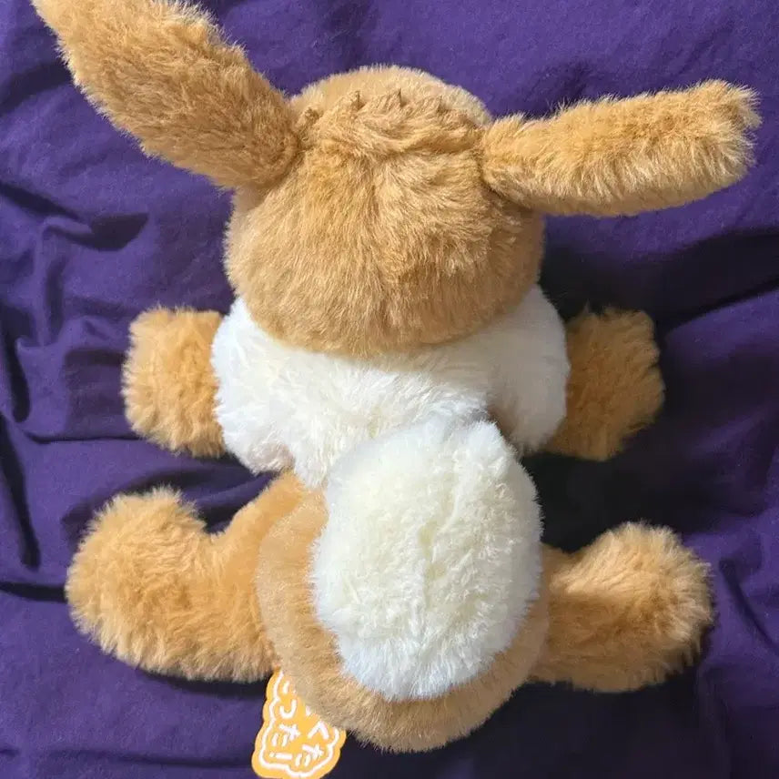 [SOLD OUT] 포켓몬스터 포켓몬 이브이 쿠타쿠타탓타 인형 누이구루미 S